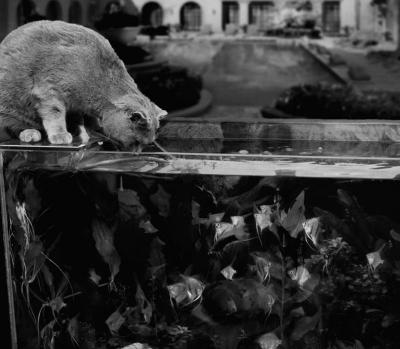 Прикрепленное изображение: IMG_0598.jpg